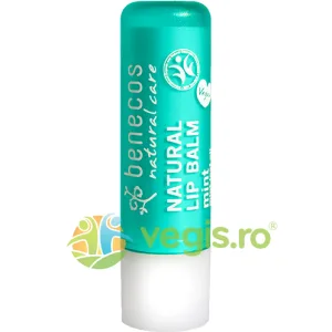 Balsam de Buze cu Unt de Shea si Menta 4.8g