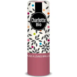 Ruj Stralucitor Rose Vintage cu Unt de Shea, Ulei de Ricin si Ceara Vegetala 3.5ml