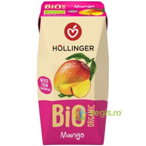 Suc de Mango cu Pai Ecologic/Bio 200ml