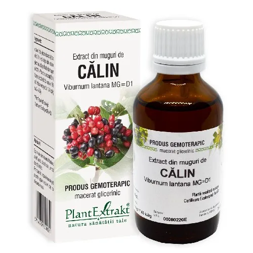 Extract Din Muguri Calin 50ml Plantextrakt — preț și oferte