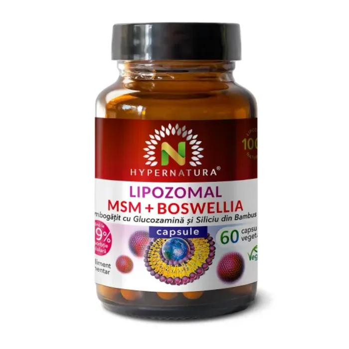 Lipozomal MSM + Boswellia, 60 capsule, Hypernatura — preț și oferte