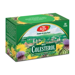 Ceai Colesterol, 20 plicuri, Fares