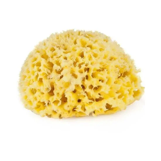 Burete natural de mare Honeycomb Spugnificio Bellini nr.8, 1 bucata, Dr. Brown's — preț și oferte