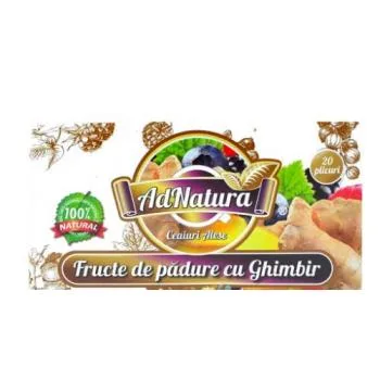 Ceai de fructe de padure cu ghimbir, 20 plicuri, AdNatura — preț și oferte