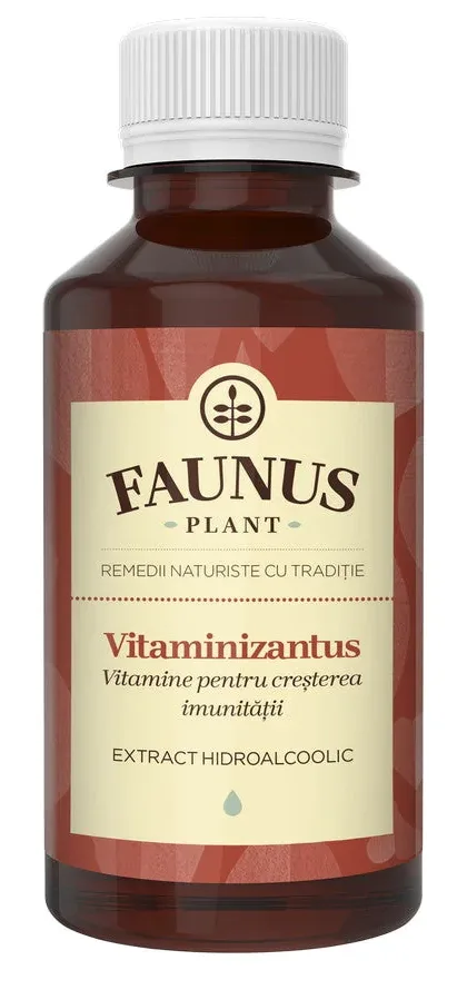 Tinctura pentru imunitate Vitaminizantus, 200ml, Faunus Plant — preț și oferte