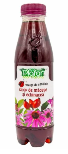 Sirop de macese si echinacea, 500ml, Plafar — preț și oferte