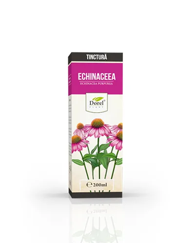 Tinctura de Echinaceea Purpureea, 200ml, Dorel Plant — preț și oferte