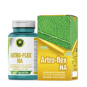 Artro Flex HA, 60 capsule, Hypericum