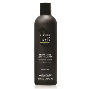 Sampon energizant anti-cadere Blends of Many, 250ml, Alfaparf Milano Professional