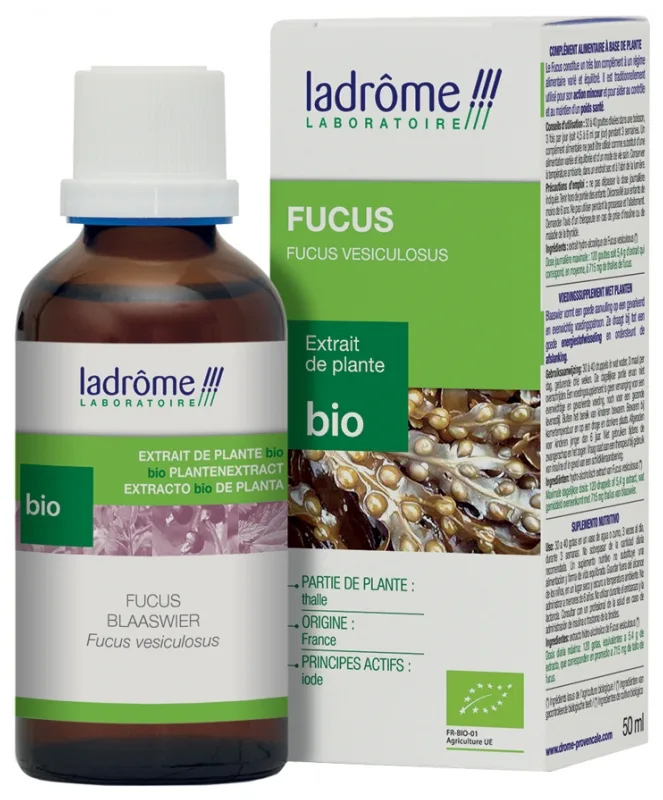 Tinctura Eco de alga marina bruna Fucus Vesiculosus, 50ml, Ladrome — preț și oferte