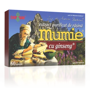 Extract purificat de rasina Mumie cu Ginseng, 60 tablete, Damar