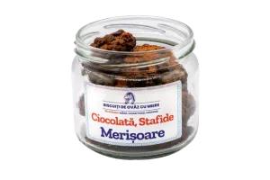 Biscuiti de ovaz cu ciocolata stafide merisoare, 145g, Ohvaz