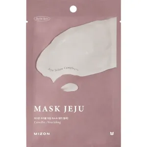 Masca de fata cu extract de camelie Joyful Time, 23g, Mizon