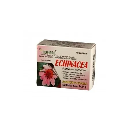 Echinacea 500 mg 40 capsule HOFIGAL — preț și oferte