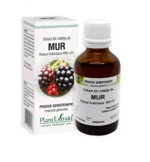 Extract din mladite de Mur 50 ml