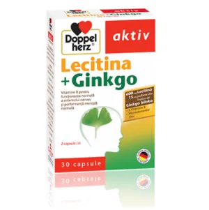 Doppelherz Aktiv Lecitina 600 mg+Ginkgo 15 mg 30 capsule