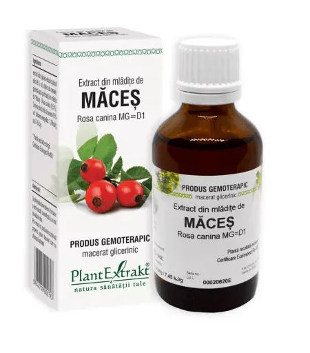 Extract din mladite de Maces 50 ml PLANTEXTRAKT — preț și oferte