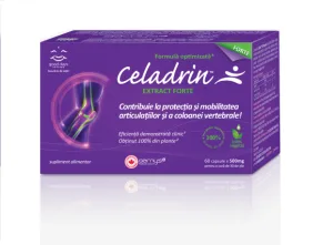 Celadrin Extract Forte 500 mg 60 capsule