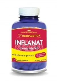 Inflanat Curcumin95 120 capsule HERBAGETICA — preț și oferte