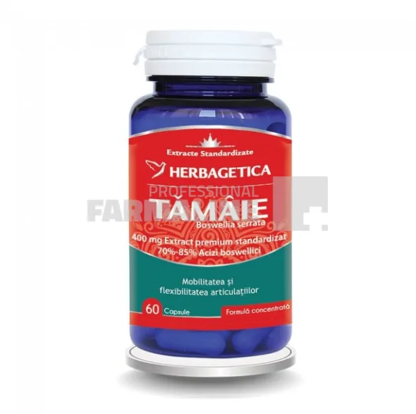 Tamaie - Boswella Serrata 60 capsule HERBAGETICA — preț și oferte